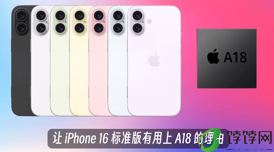 苹果16最新爆料 iphone16爆料汇总
