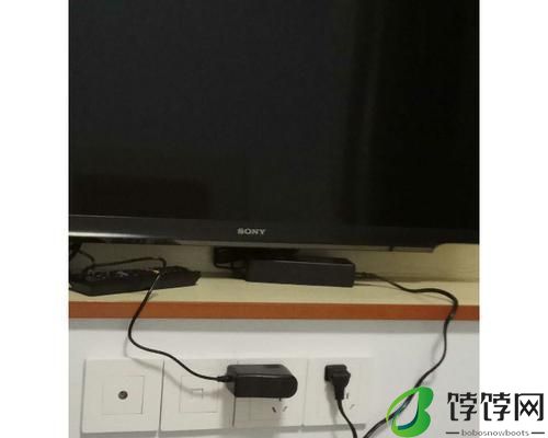 解决索尼电视机常见故障的维修方法（轻松排除索尼电视机的故障）