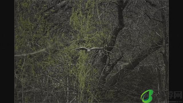  真正的一镜走天下 尼克尔 Z 28-400mm f/4-8 VR 镜头上手体验 