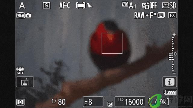  真正的一镜走天下 尼克尔 Z 28-400mm f/4-8 VR 镜头上手体验 