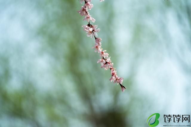  真正的一镜走天下 尼克尔 Z 28-400mm f/4-8 VR 镜头上手体验 