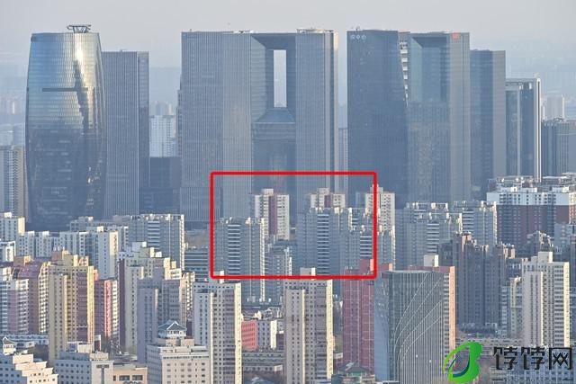  真正的一镜走天下 尼克尔 Z 28-400mm f/4-8 VR 镜头上手体验 