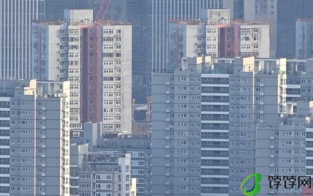  真正的一镜走天下 尼克尔 Z 28-400mm f/4-8 VR 镜头上手体验 