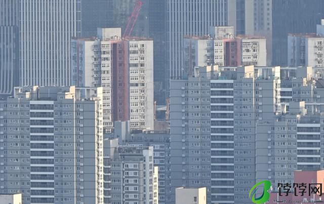  真正的一镜走天下 尼克尔 Z 28-400mm f/4-8 VR 镜头上手体验 