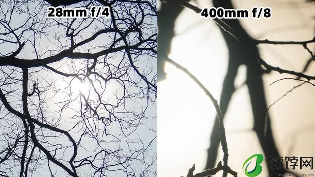  真正的一镜走天下 尼克尔 Z 28-400mm f/4-8 VR 镜头上手体验 