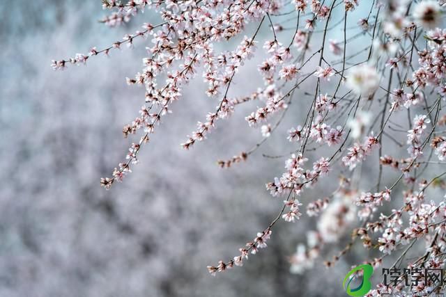  真正的一镜走天下 尼克尔 Z 28-400mm f/4-8 VR 镜头上手体验 