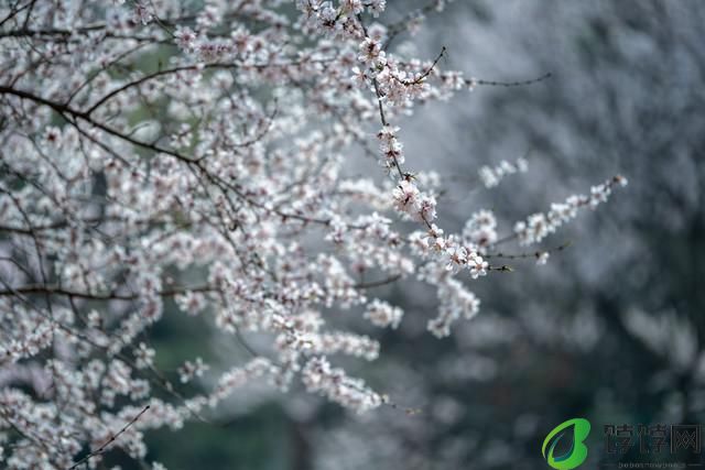  真正的一镜走天下 尼克尔 Z 28-400mm f/4-8 VR 镜头上手体验 