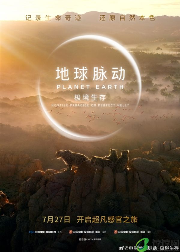 豆瓣9.7分纪录片天花板！《地球脉动》首部大电影国内定档7月27日：预告片发布！