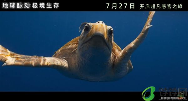 豆瓣9.7分纪录片天花板！《地球脉动》首部大电影国内定档7月27日：预告片发布！