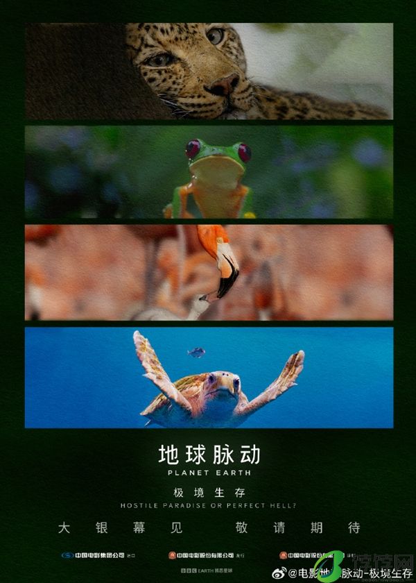 豆瓣9.7分纪录片天花板！《地球脉动》首部大电影国内定档7月27日：预告片发布！