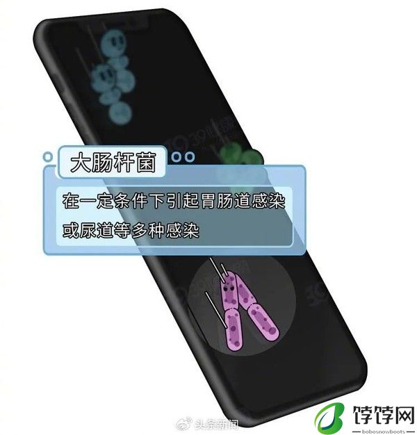 研究称手机细菌密度比马桶座圈多10倍 如何减少危害