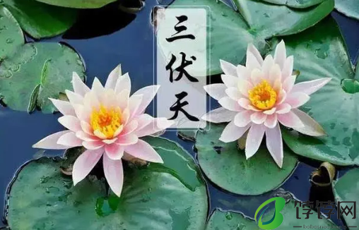 2024三伏天从什么时候开始至结束2