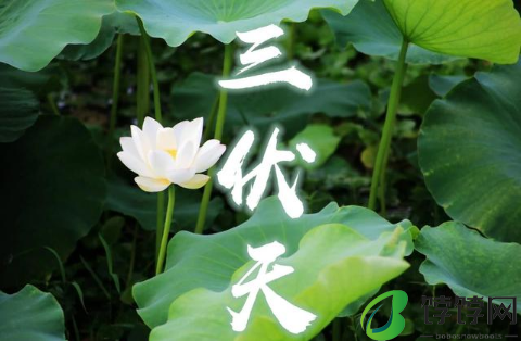 2024年三伏天热吗3