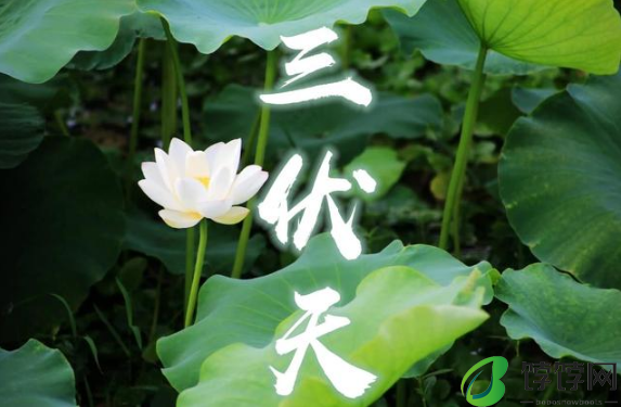 2024初伏中伏末伏分别是几月几日2