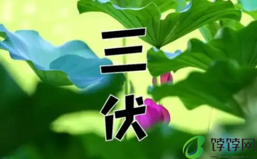 2024年三伏天是公伏还是母伏2