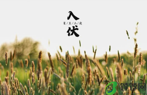 2024年三伏天是公伏还是母伏3