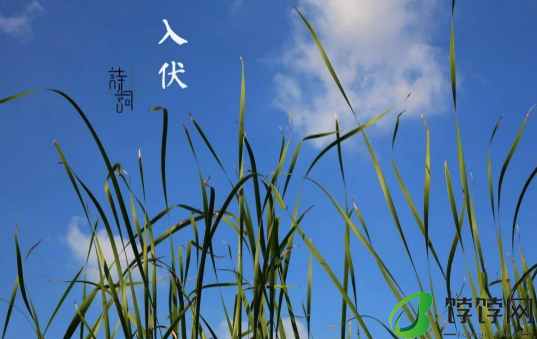2024年入伏是几月几号3