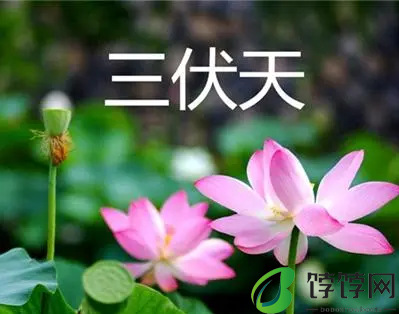 2024年入伏是什么时候开始2