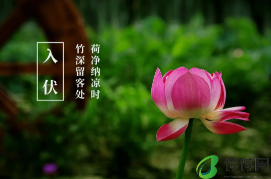 2024年入伏是什么时候开始3
