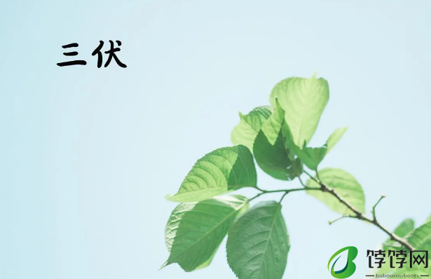 2024年三伏天的起止时间2