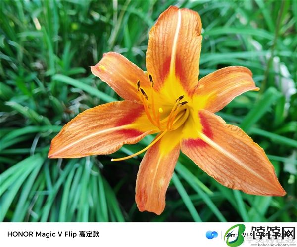 荣耀开启小折叠全面屏时代！荣耀Magic V Flip上手