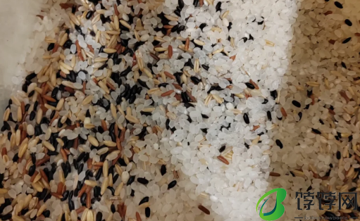 三色糙米是碳水食物吗3