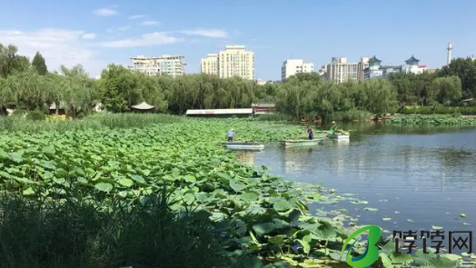 2024年北京8月份适合旅游吗2