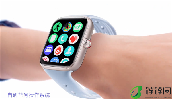 vivo WATCH GT手表参数配置
