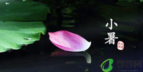 2024年小暑当天下雨好吗2
