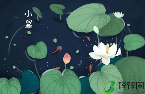 2024年小暑当天下雨好吗3