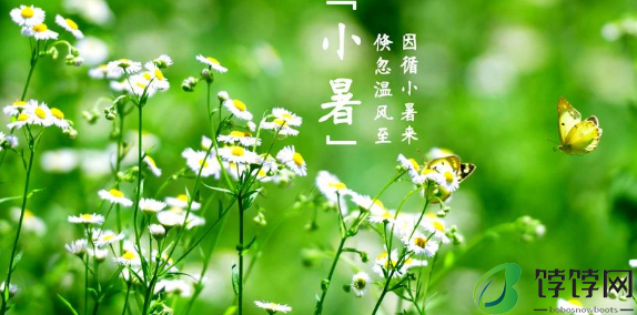 2024年小暑是几月几号2