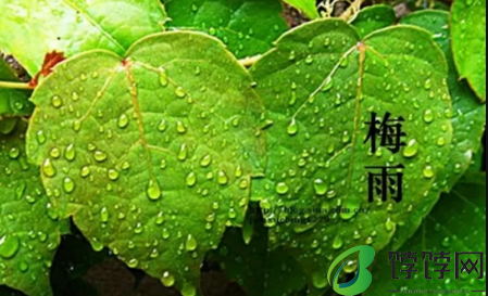 南京6月份是梅雨季节吗2