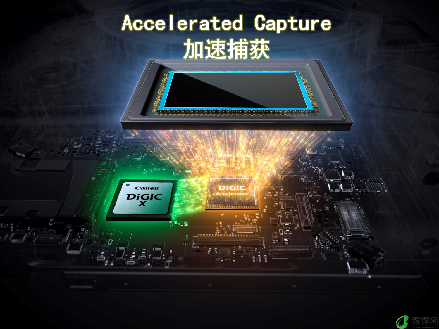 超越不止，5系传奇，佳能发布新一代强者全画幅专微相机EOS R5 Mark II