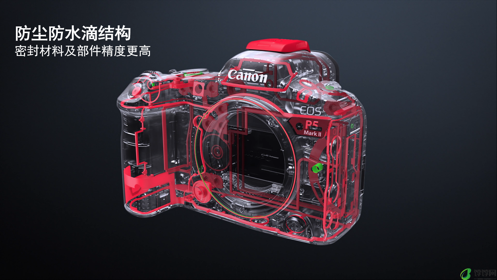 超越不止，5系传奇，佳能发布新一代强者全画幅专微相机EOS R5 Mark II