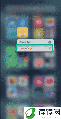 应用程序无法在iPhone上加载：如何修复