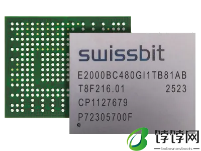包含 BGA 封装和 pSLC 闪存型号，Swissbit 推出多款边缘用固态硬盘