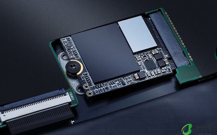 威刚 XPG 翼龙 S55 M.2 2230 固态硬盘上市，最高 2TB 定价 1529 元