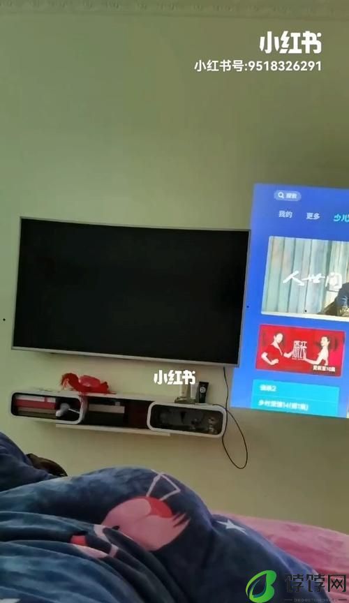 掌握极米投影仪模式设置方法，打造个性化观影体验（一步步教你如何设置极米投影仪模式）