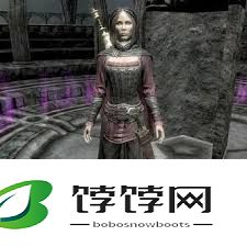 《上古卷轴5》随从如何招募
