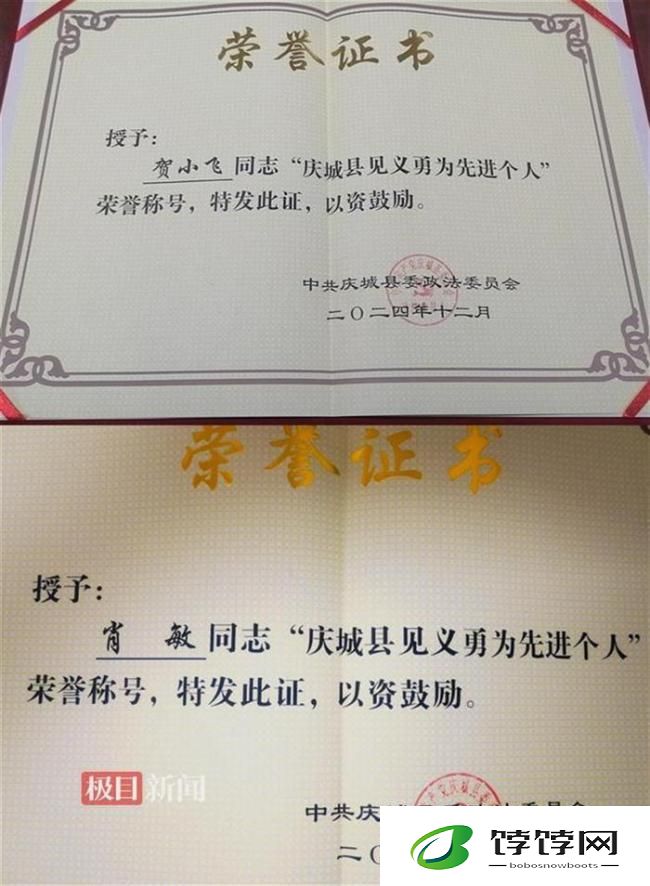 两职工帮民警抓捕逃犯获评见义勇为