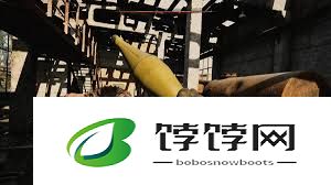 《潜行者2》普利皮亚季密码是什么