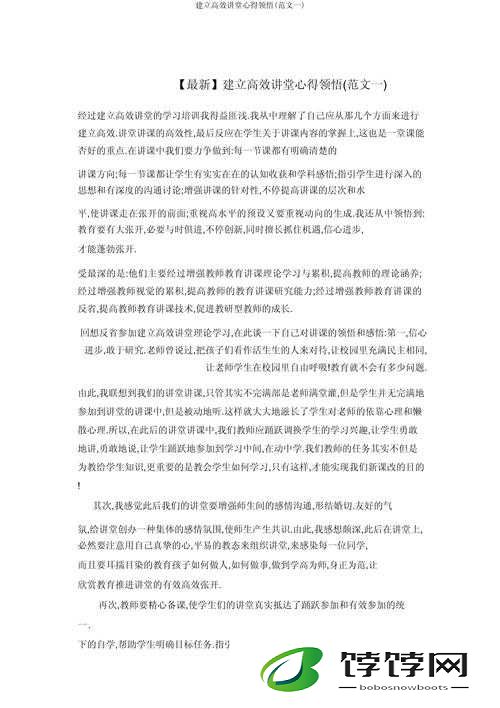 盗贼之海船员职责深度解析与高效工作分配心得分享