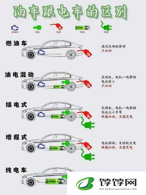 一张图展现橙卡会长各等级激活属性奥秘