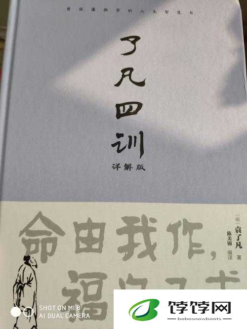 御龙无双：老沙虽强却难逃命运捉弄之境