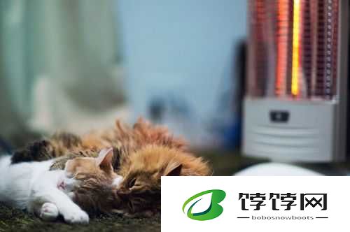 锲涜檸鏈鏂板湴鍩熺綉鍚2024 鍏嶈垂鑻规灉-全新解读