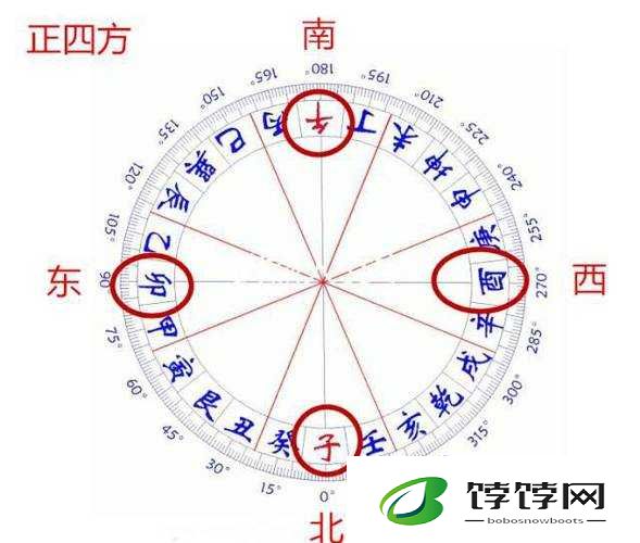 涓夊彾鑽塆 W6781 之详细介绍