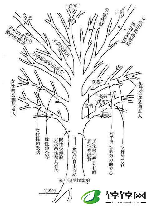 小时内探索树木分布：地点详解与可得物品解析