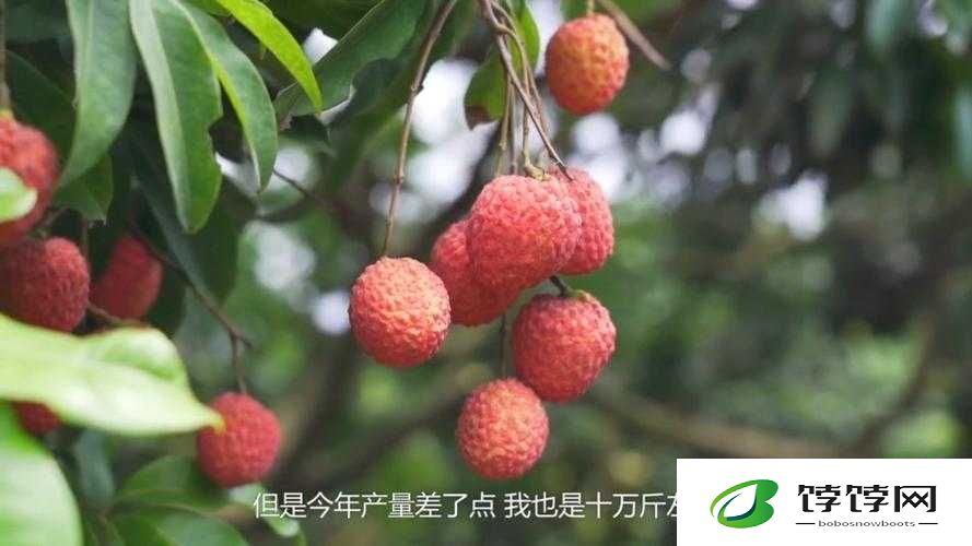 涓変汉琛屽繀鏈夊弻鎻掑ご浣嗘灊绗旇叮闃：绾冲彴鐢熸椿锛岀瓟妗堟灊绗旇叮