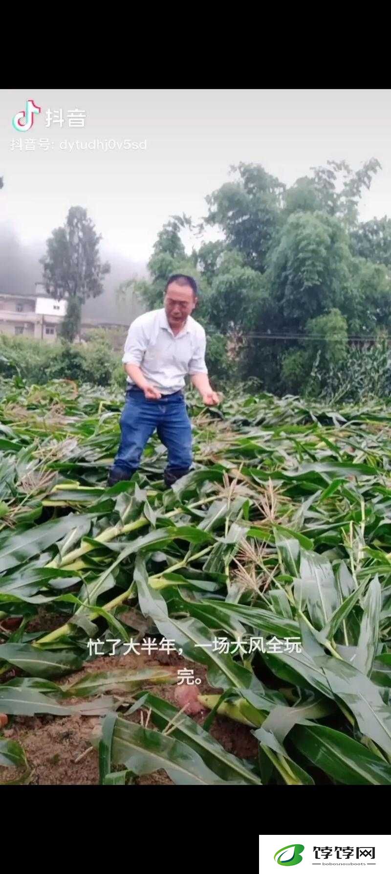 鑽夋Υ杞婚噺鐗の特性與應用