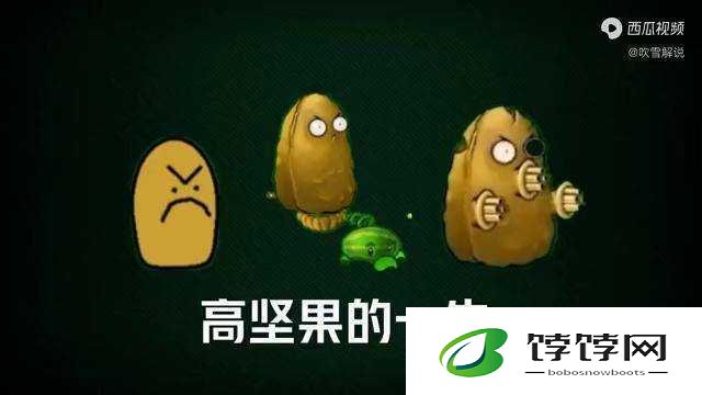 植物王者解析：《植物大战僵尸2》中的护卫之神——高坚果特性详解与攻略指南